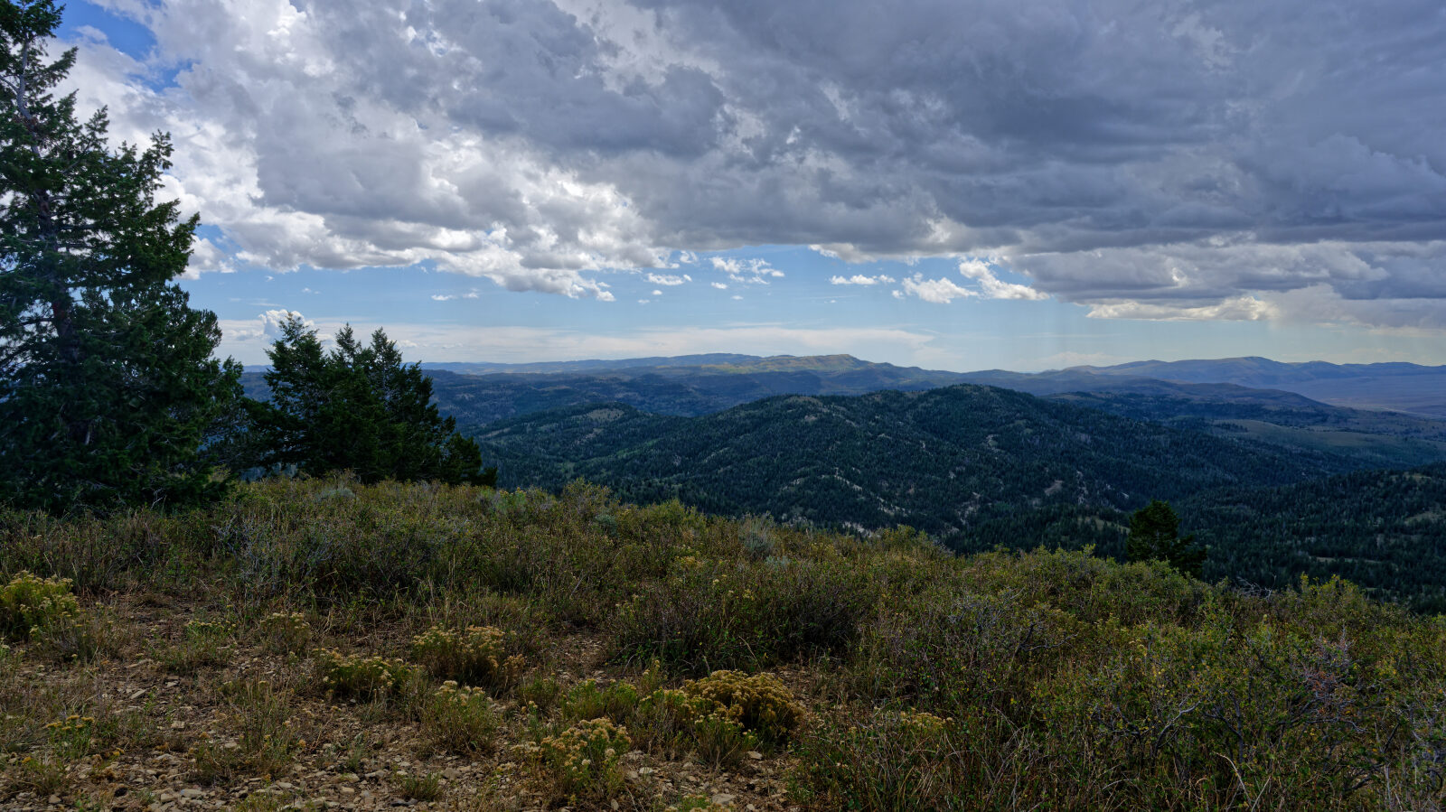 Waypoint 11