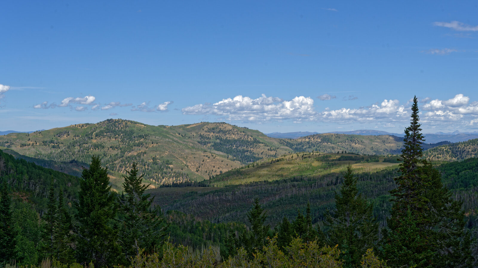 Waypoint 11