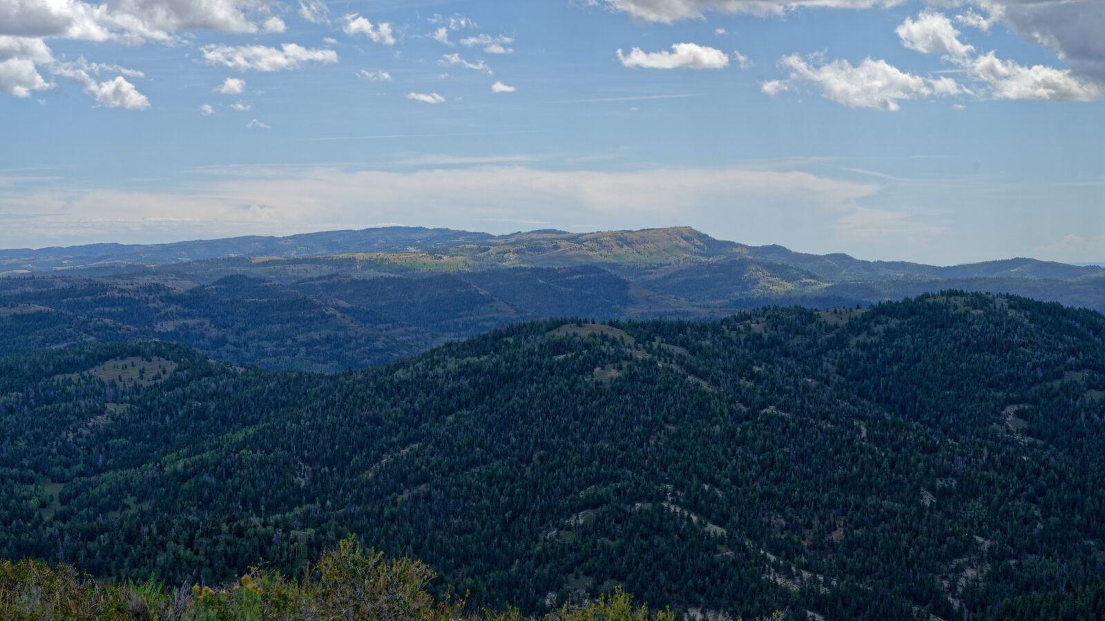 Small camp spot for one small rig with great views and no shade. It sits on a hill but close to the road.