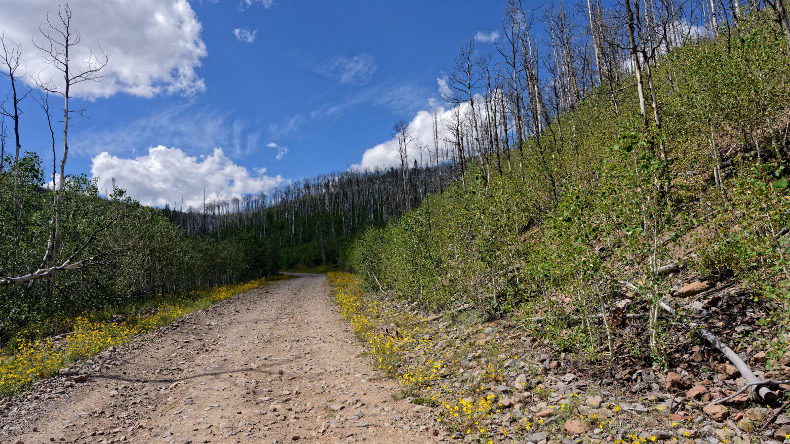 Waypoint 7
