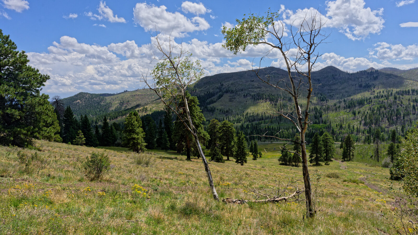 Waypoint 3
