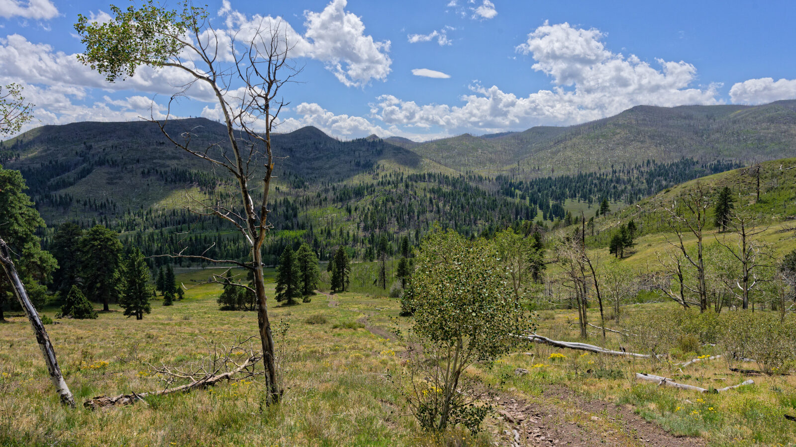 Waypoint 3